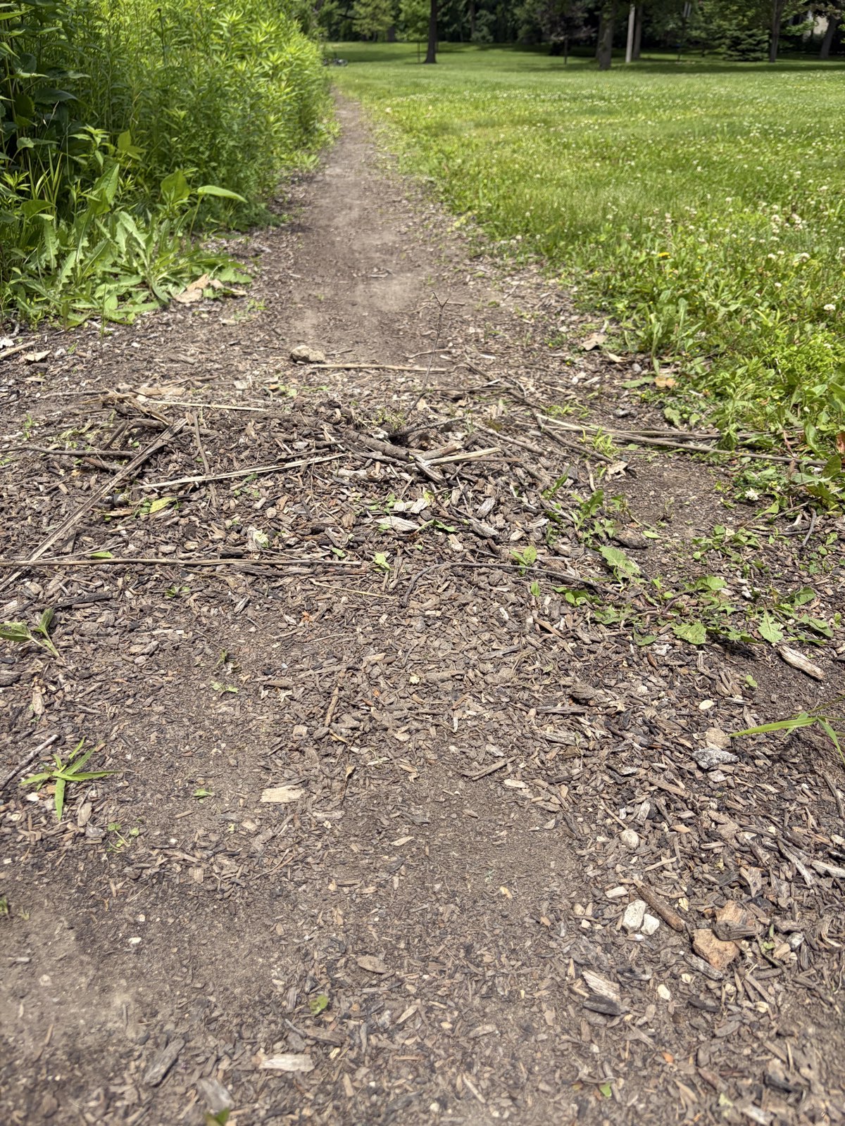 Bonnie Sharpener trail photo 1