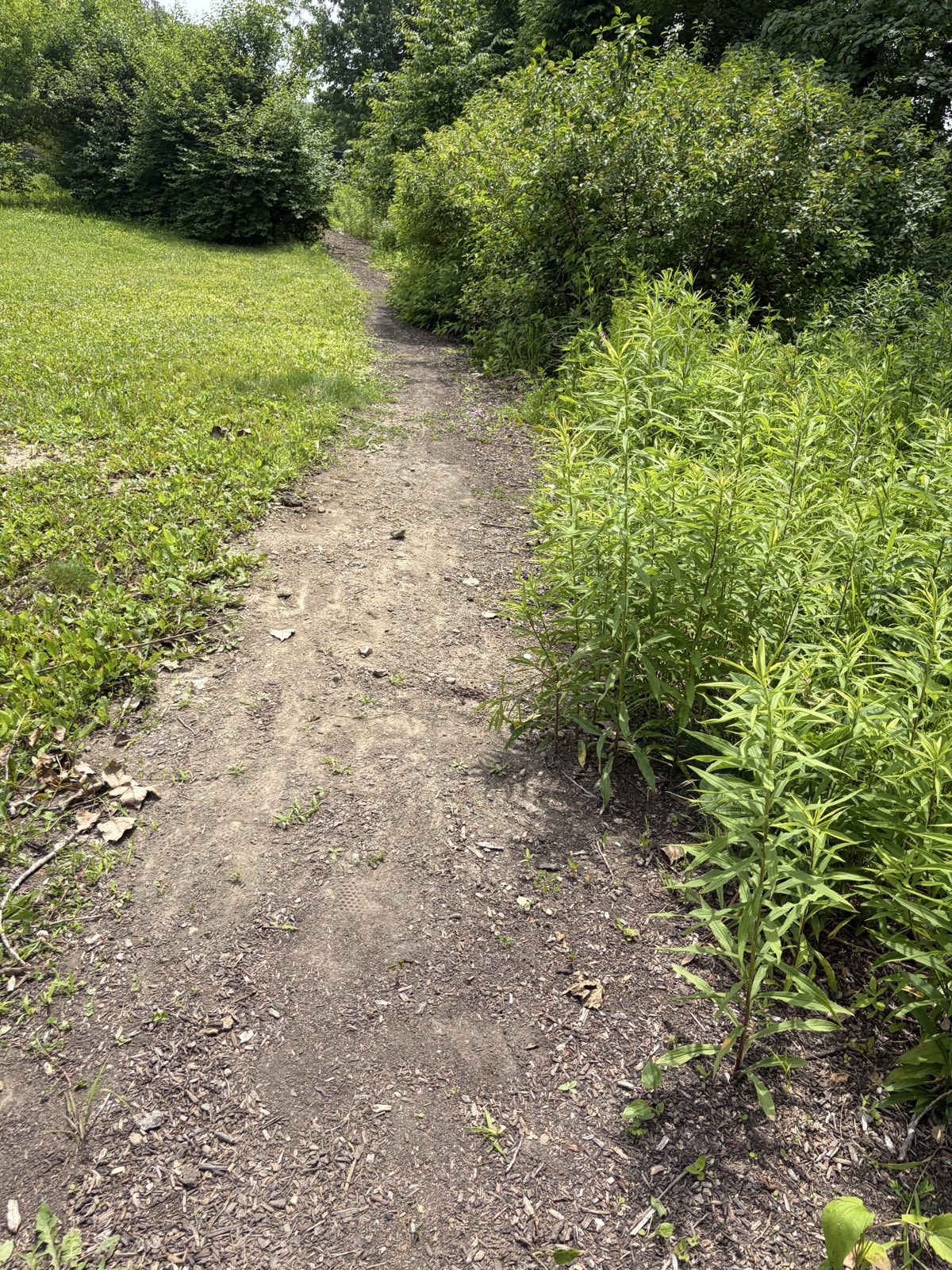 Bonnie Sharpener trail photo 2