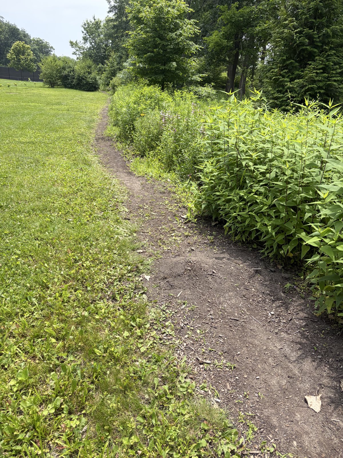 Bonnie Sharpener trail photo 3