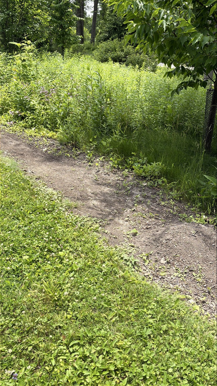 Bonnie Sharpener trail photo 4
