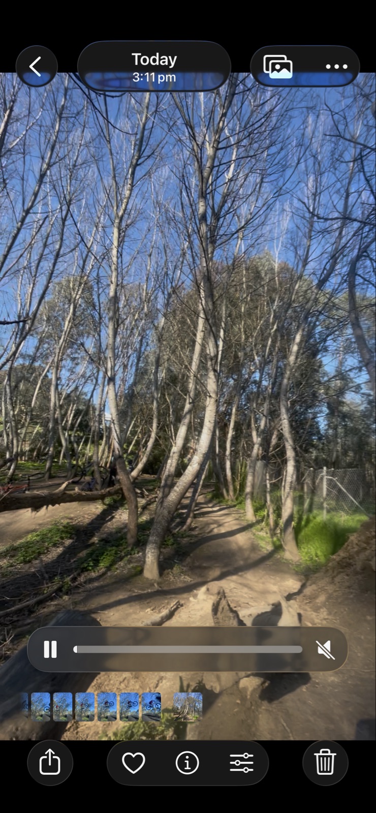 Step-Up Senders trail photo 3