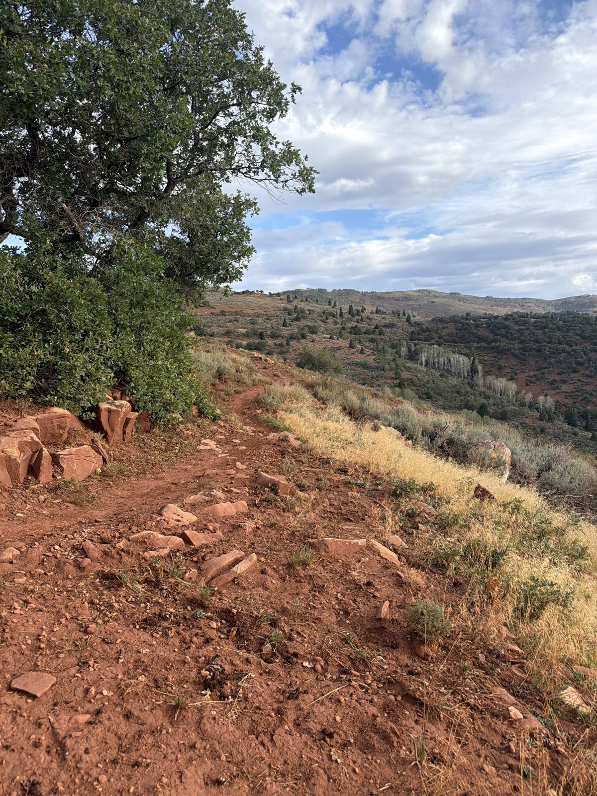 Upper Spinal Tap trail photo 2