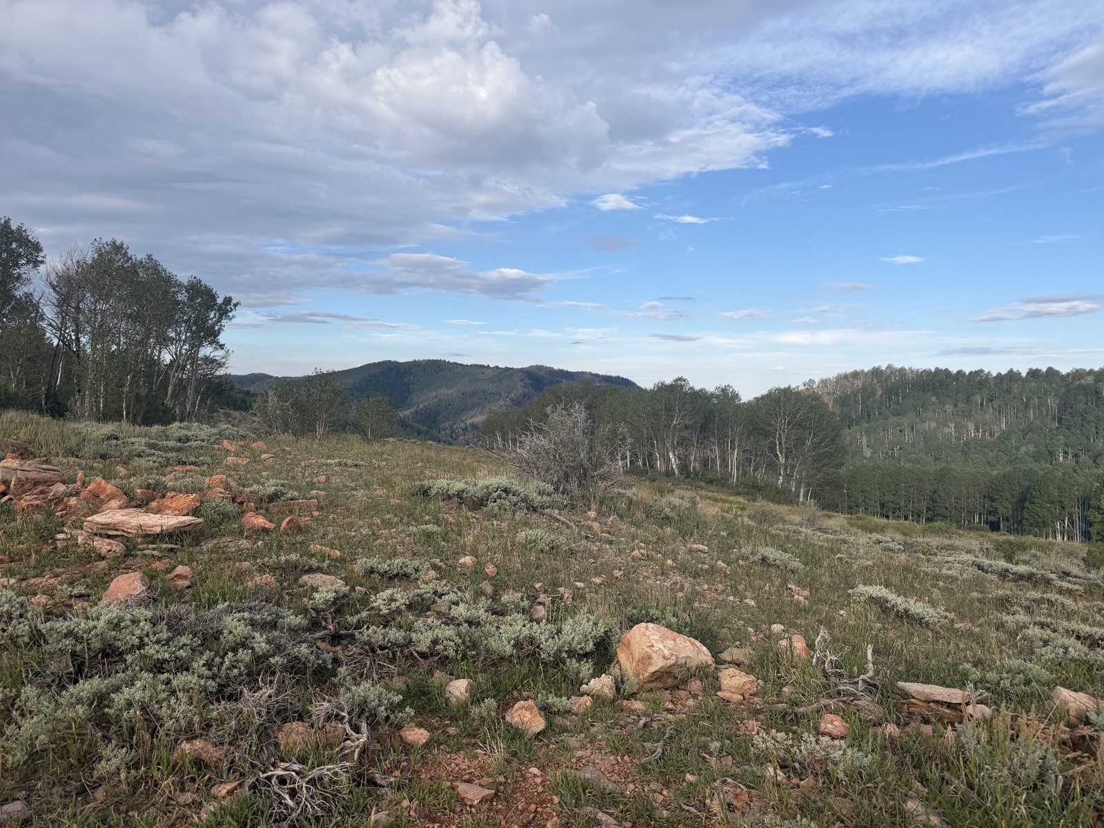 Upper Spinal Tap trail photo 3