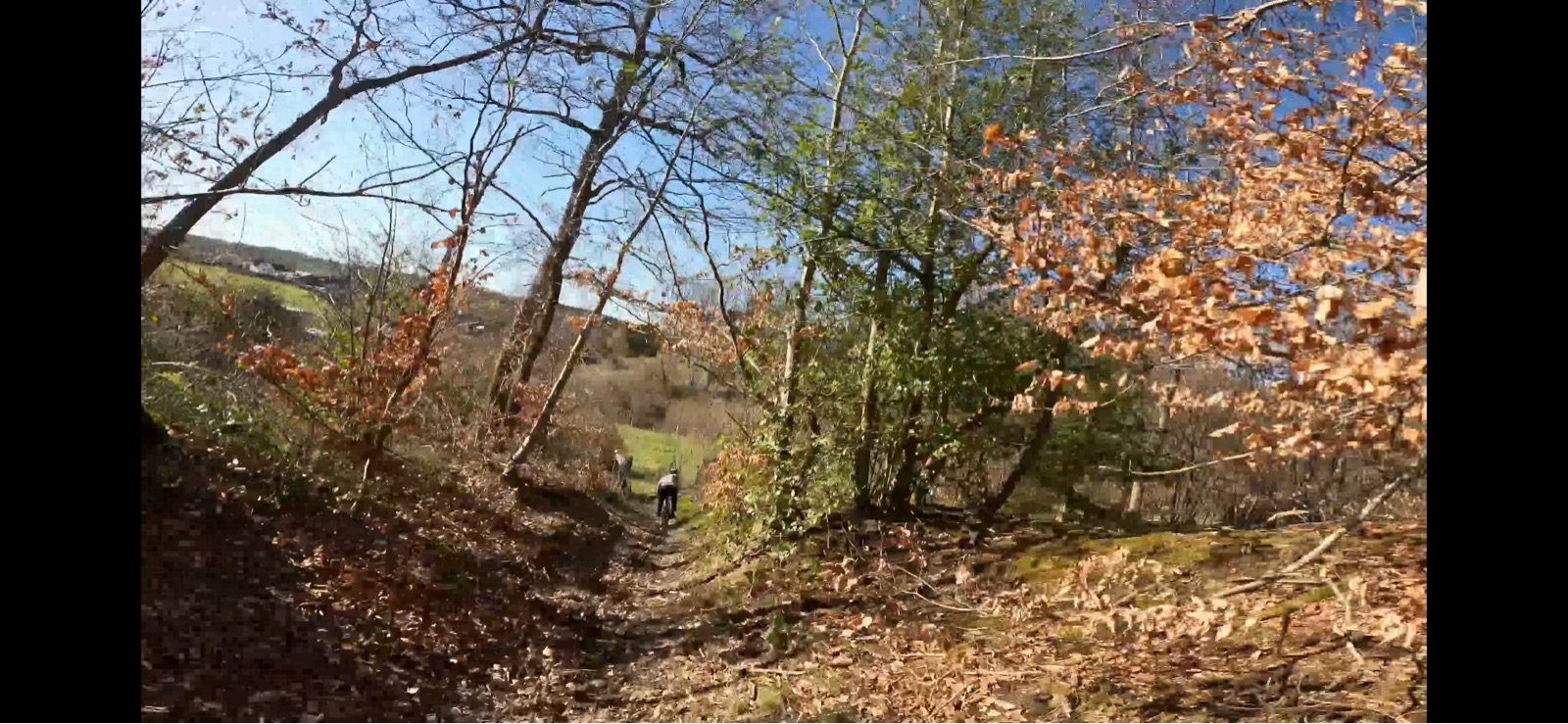 Dry Downhill trail photo 2