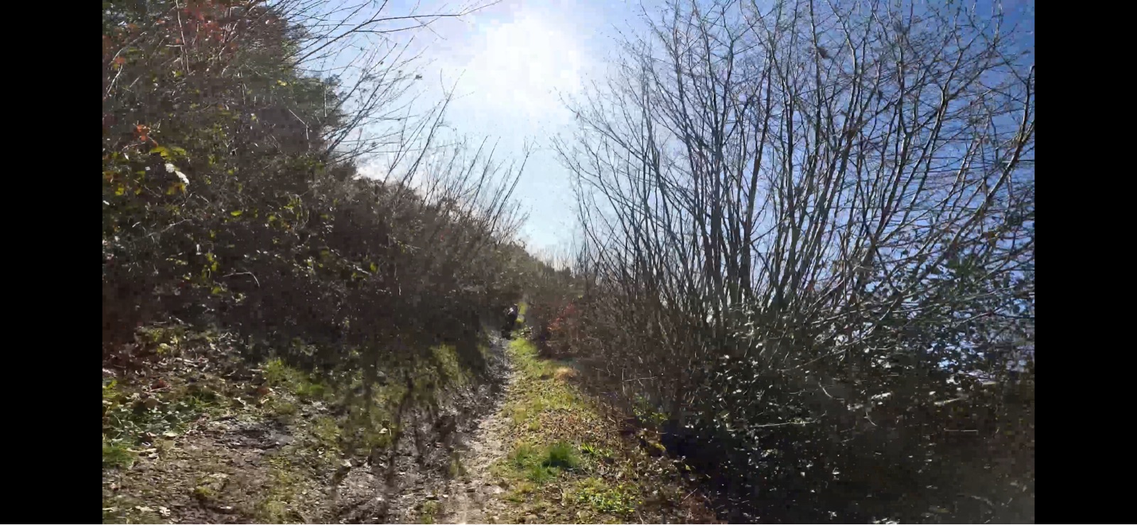 Dry Downhill trail photo 3
