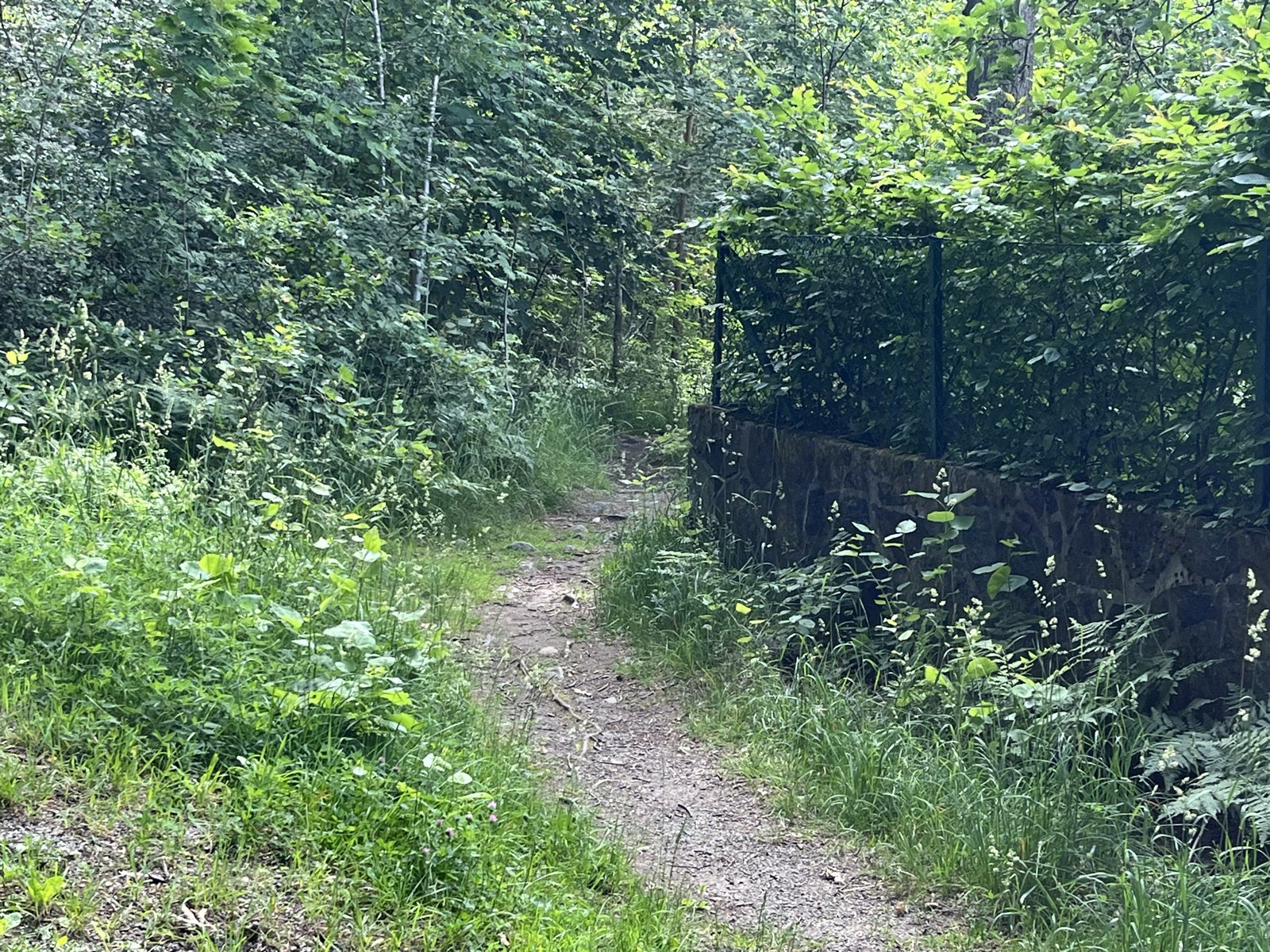Shortcut trail photo 1