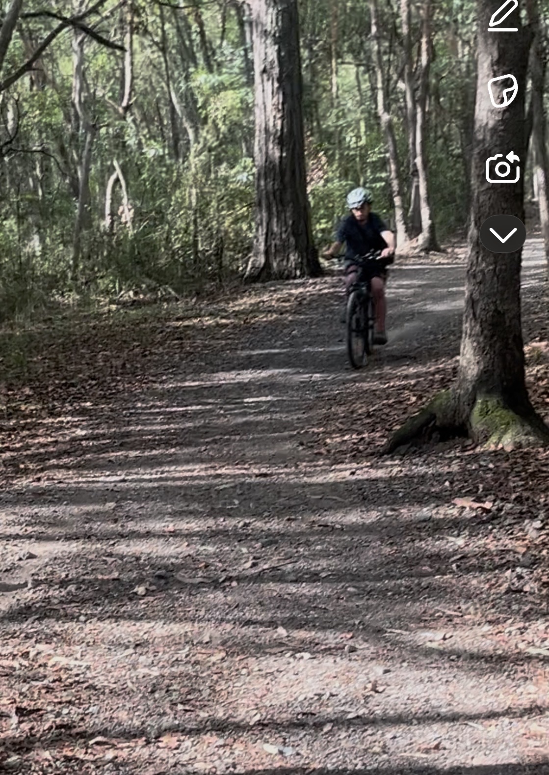 Banks street king jumps trail photo 2