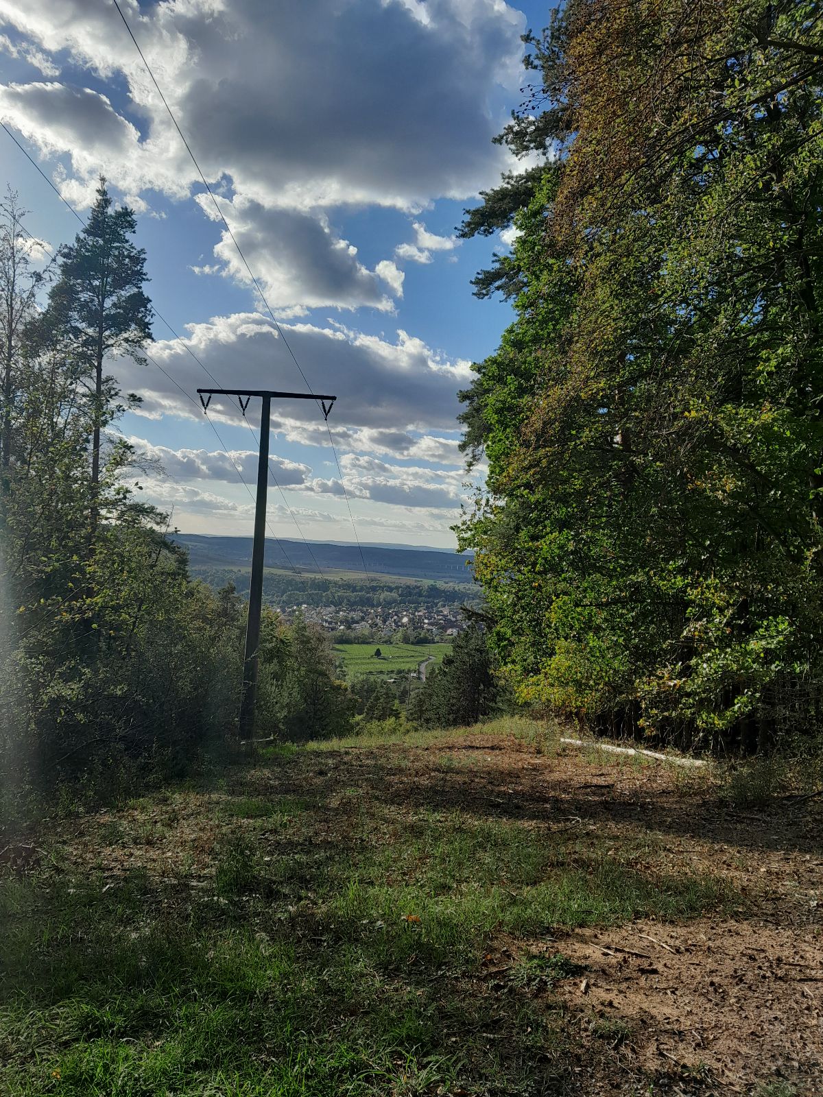 Etzburg-Trail trail photo 1