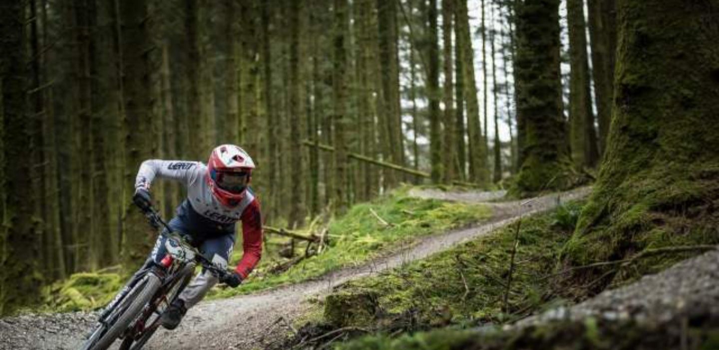 Omagh Glen Park Forest Mtb Trail trail photo 3