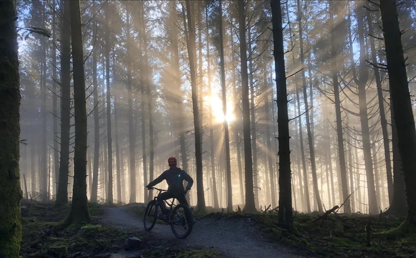 Omagh Glen Park Forest Mtb Trail trail photo 2