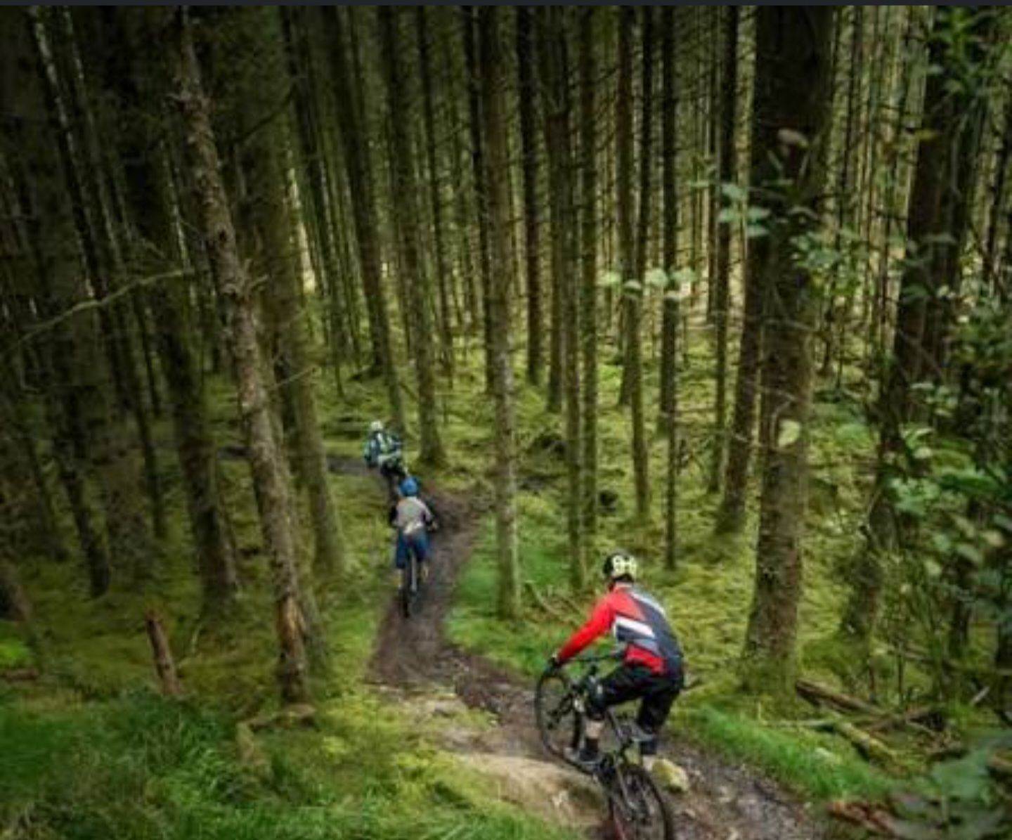Omagh Glen Park Forest Mtb Trail trail photo 4