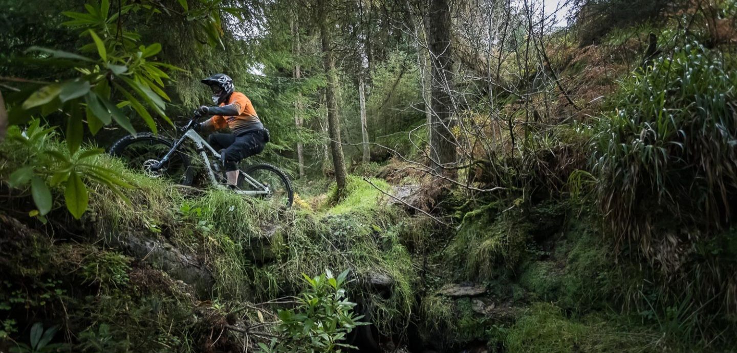 Omagh Glen Park Forest Mtb Trail trail photo 5