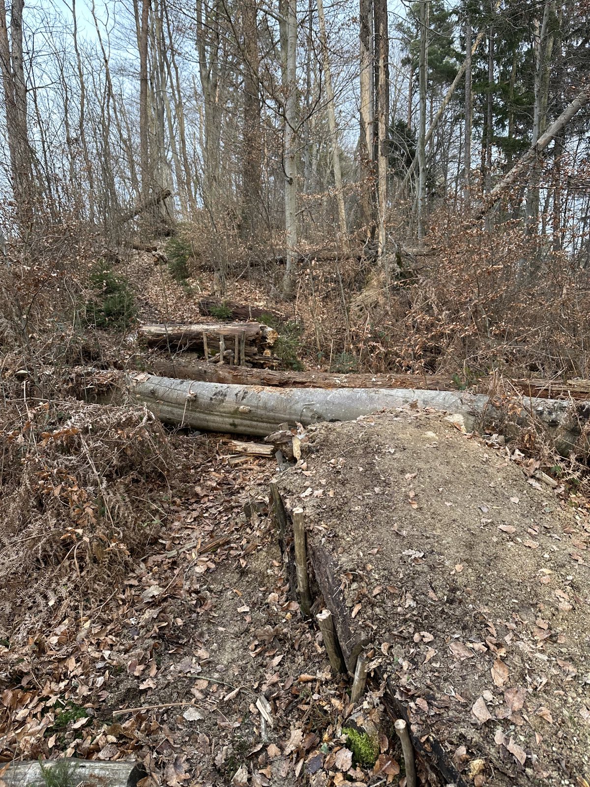 Špičnk trail photo 1