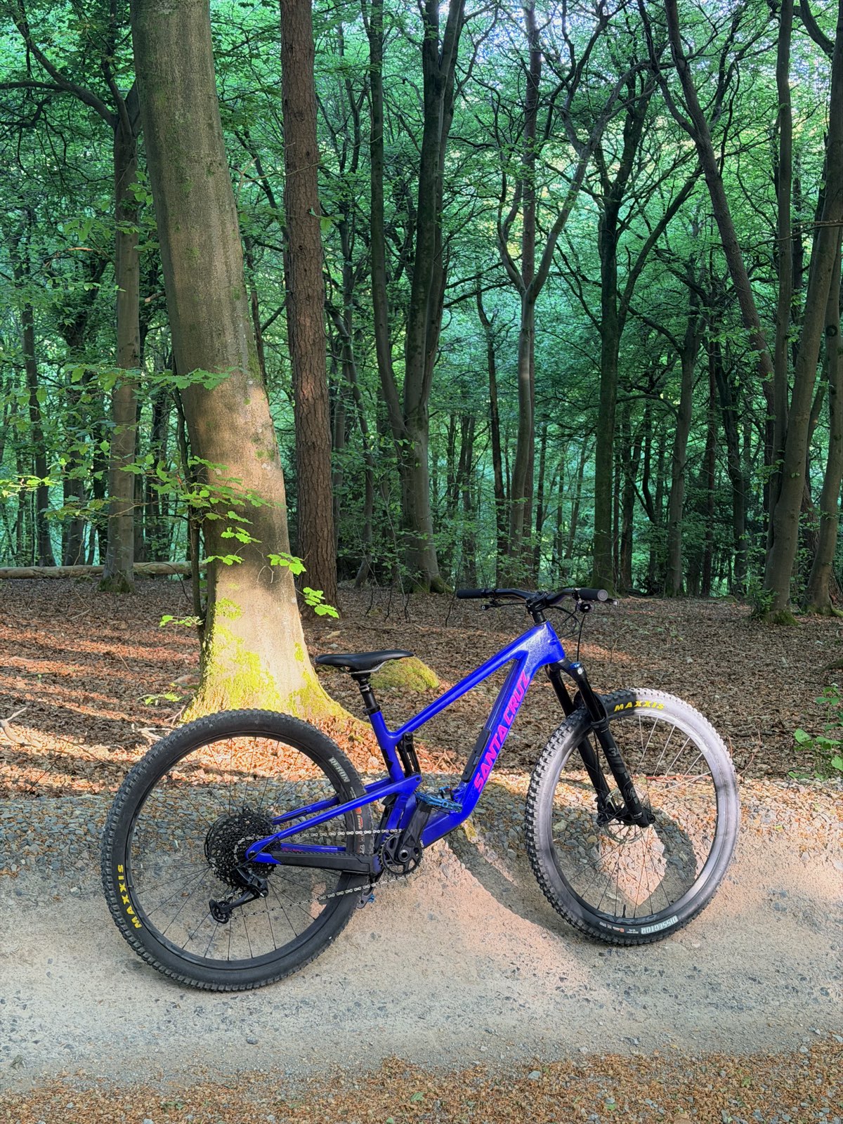 Bermageddon trail photo 1