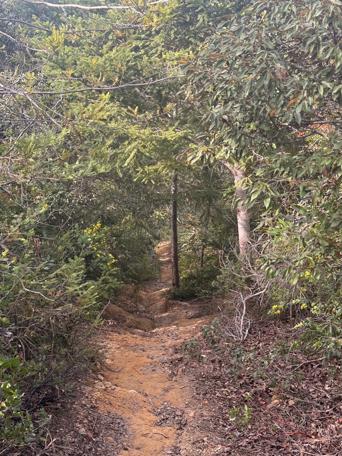 No Name trail photo 1