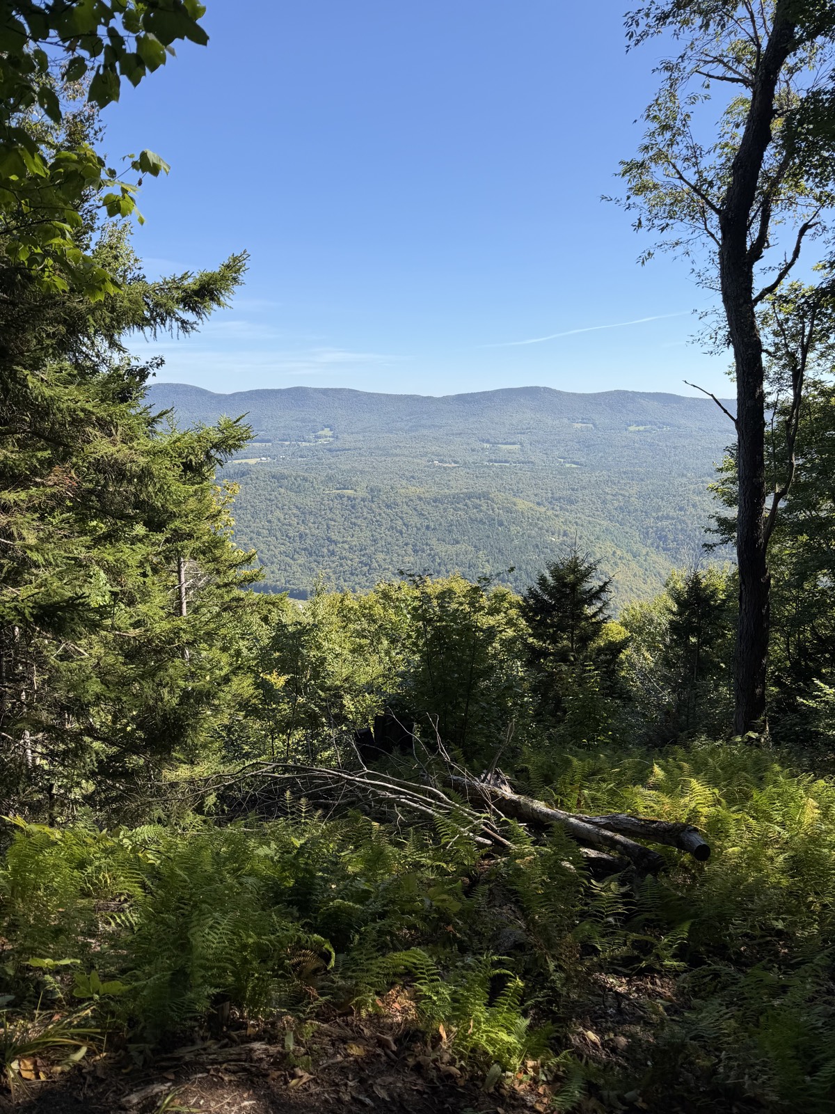 Tunnel Ridge And More trail photo 3