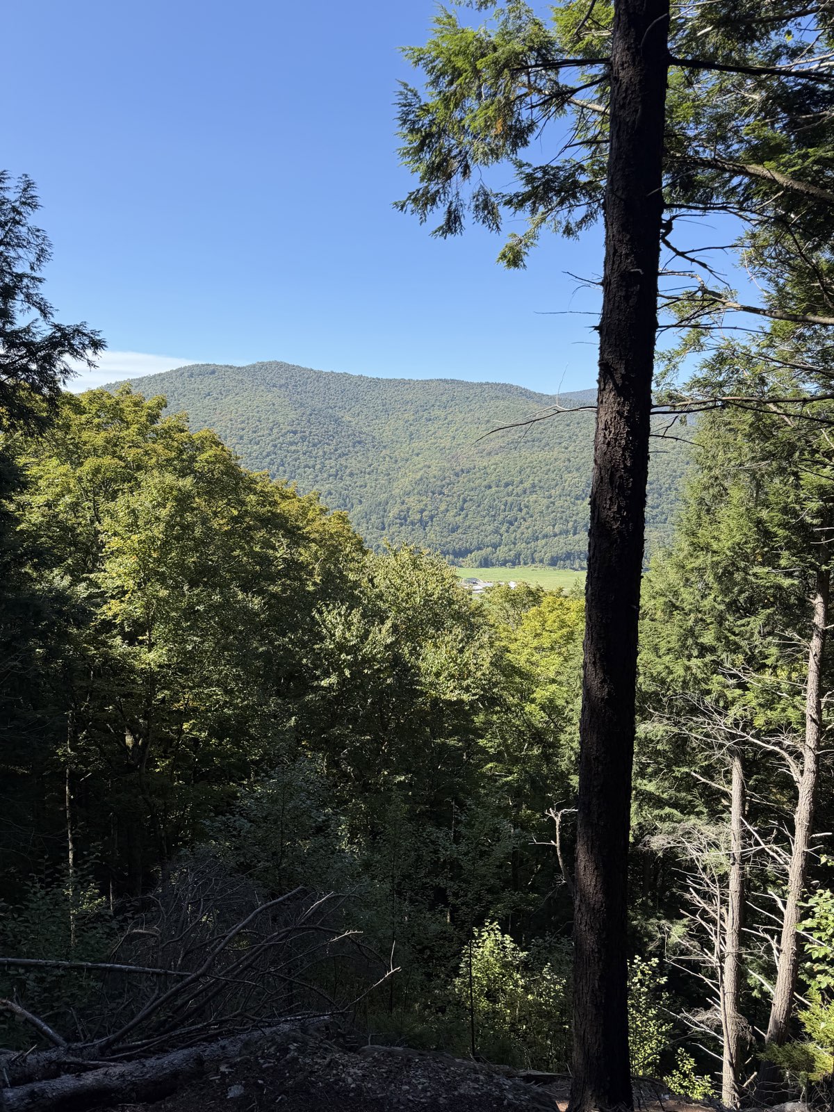 Tunnel Ridge And More trail photo 2