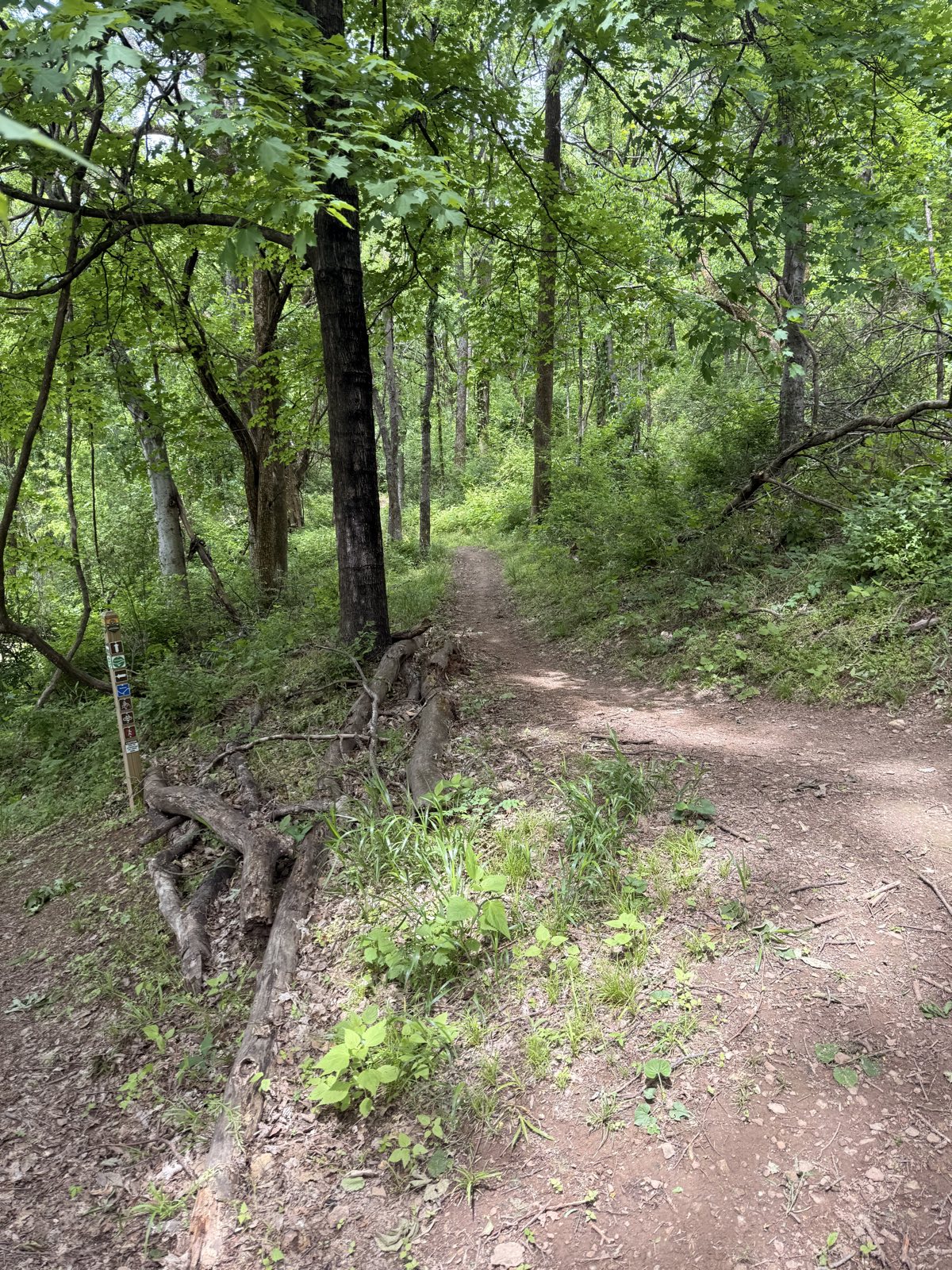 Smith Park MTB Trails trail photo 3