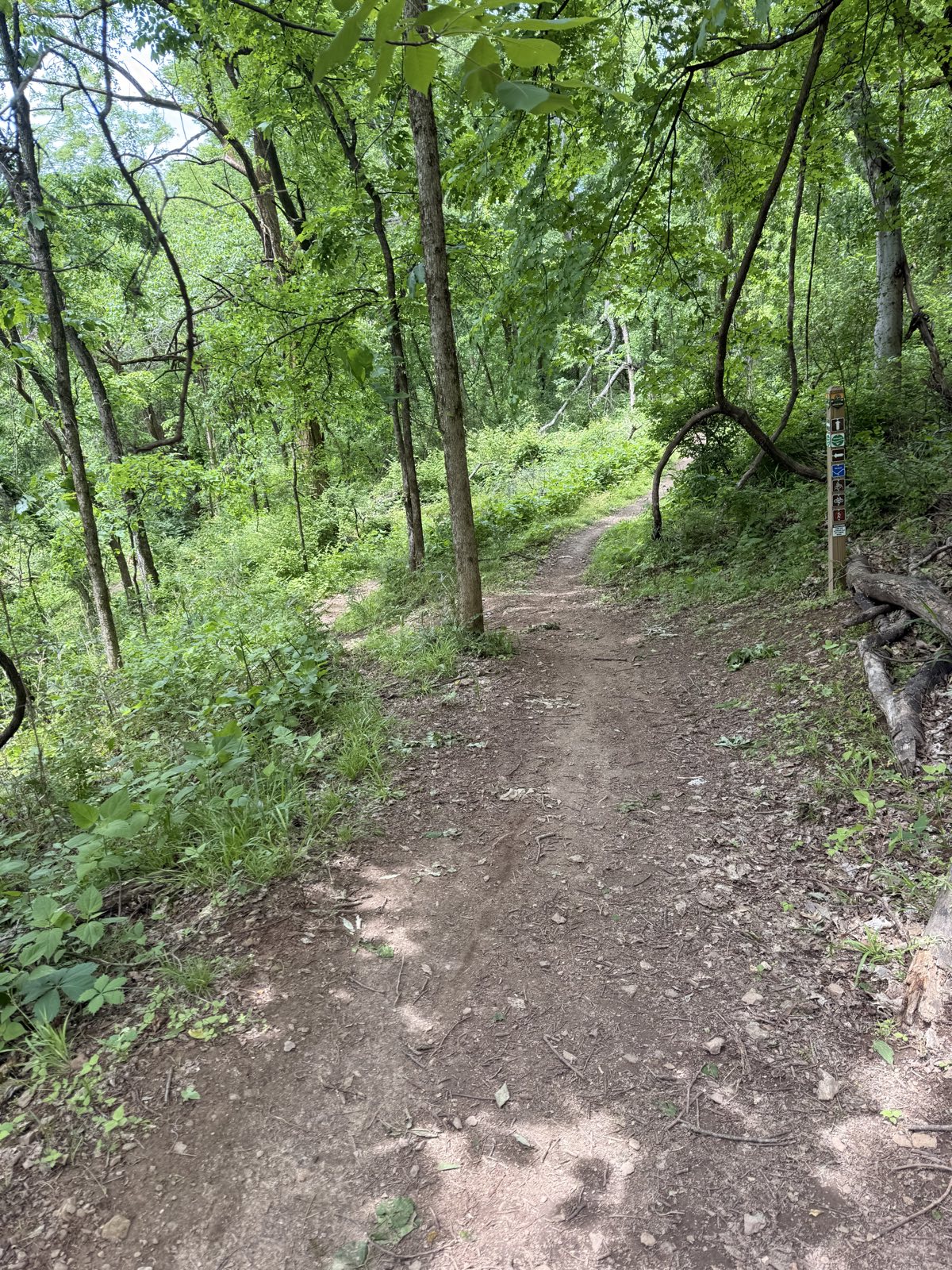 Smith Park MTB Trails trail photo 4