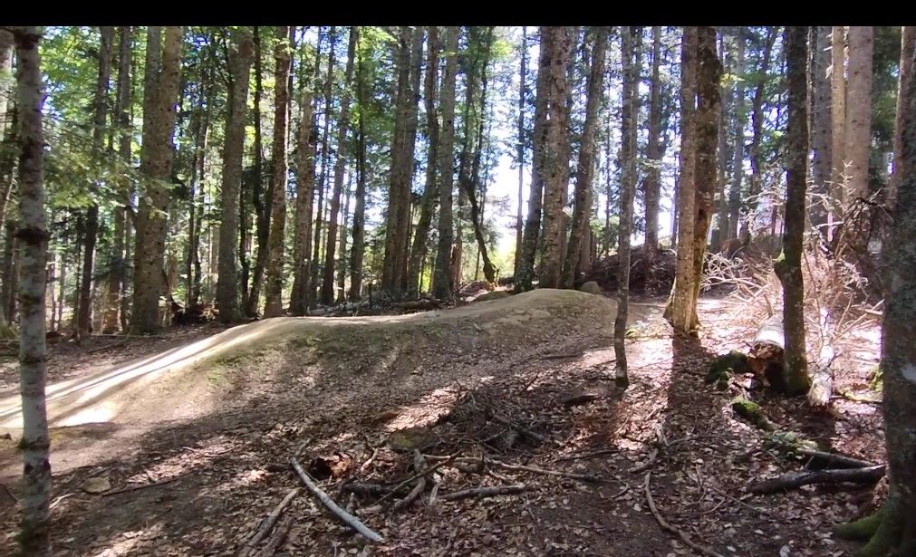 Beginner - Green Trail Ax Bike Park trail photo 2
