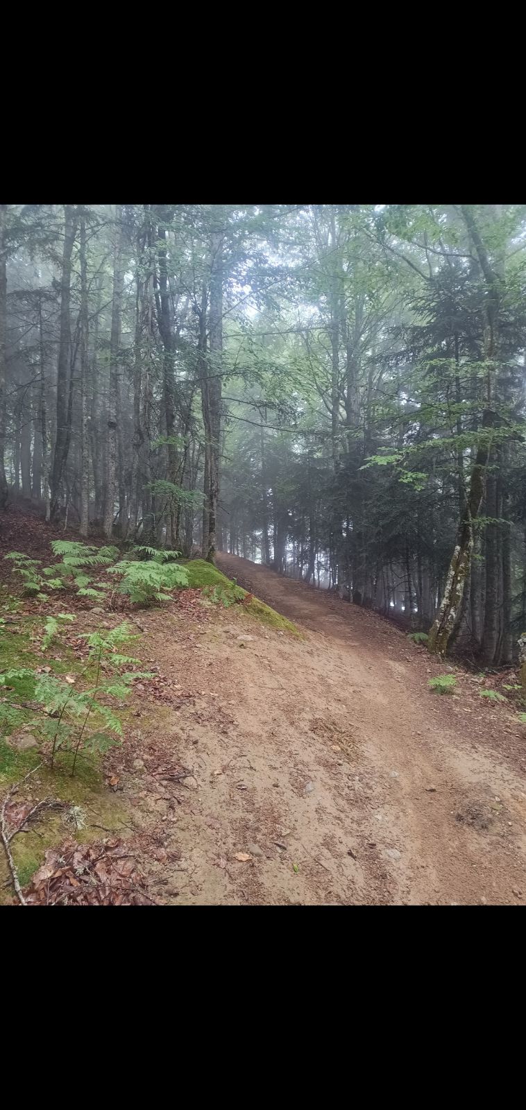 Beginner - Green Trail Ax Bike Park trail photo 1