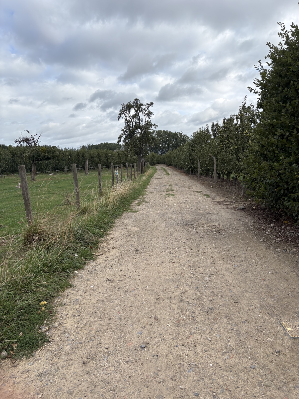 Wellen Blauw trail photo 1