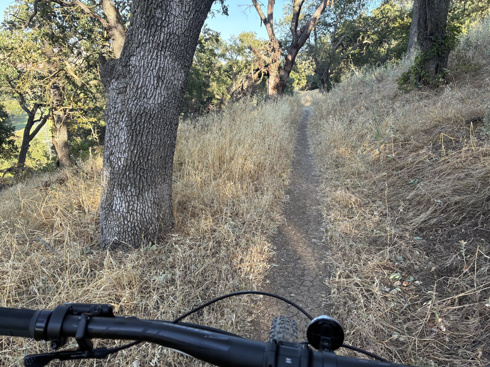Ohlone Trail trail photo 1