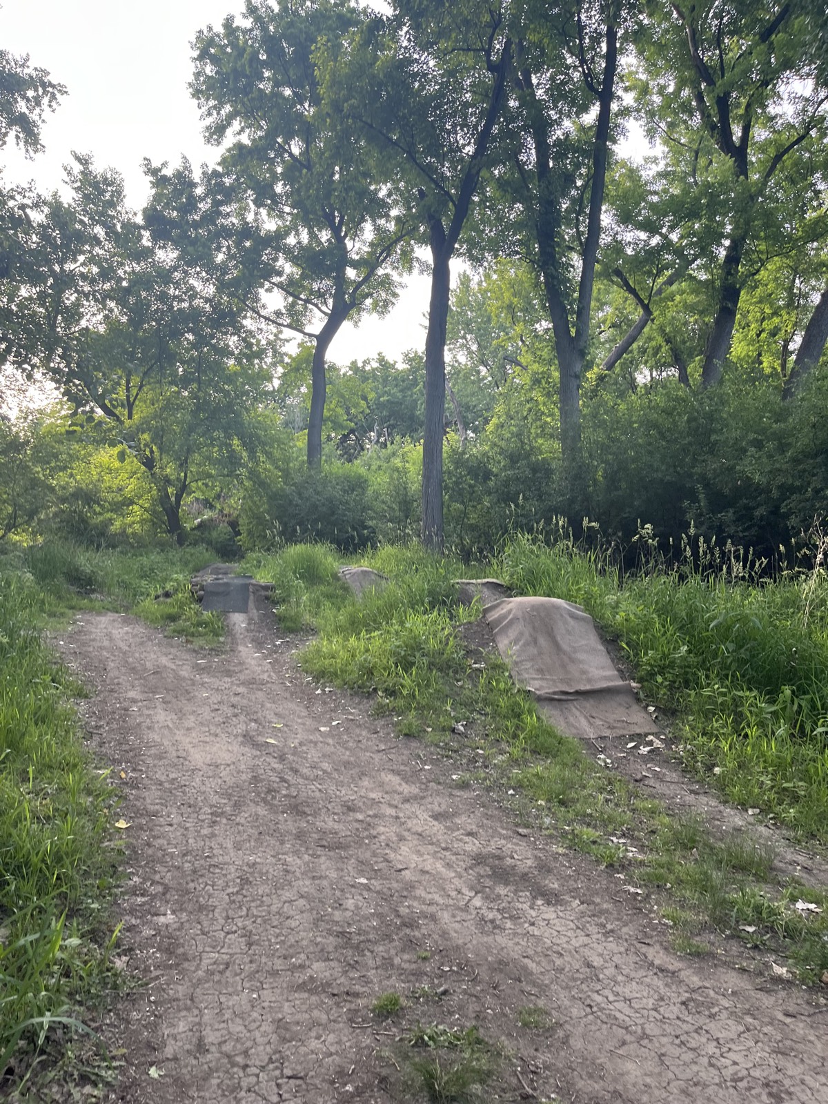 Bike jumps trail photo 1