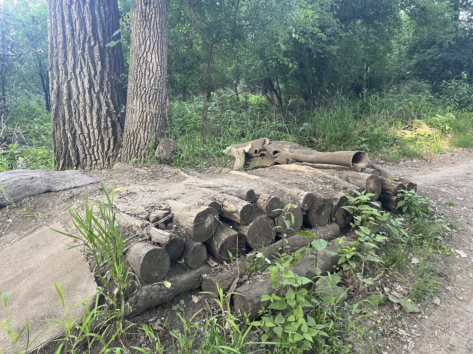 Bike jumps trail photo 2