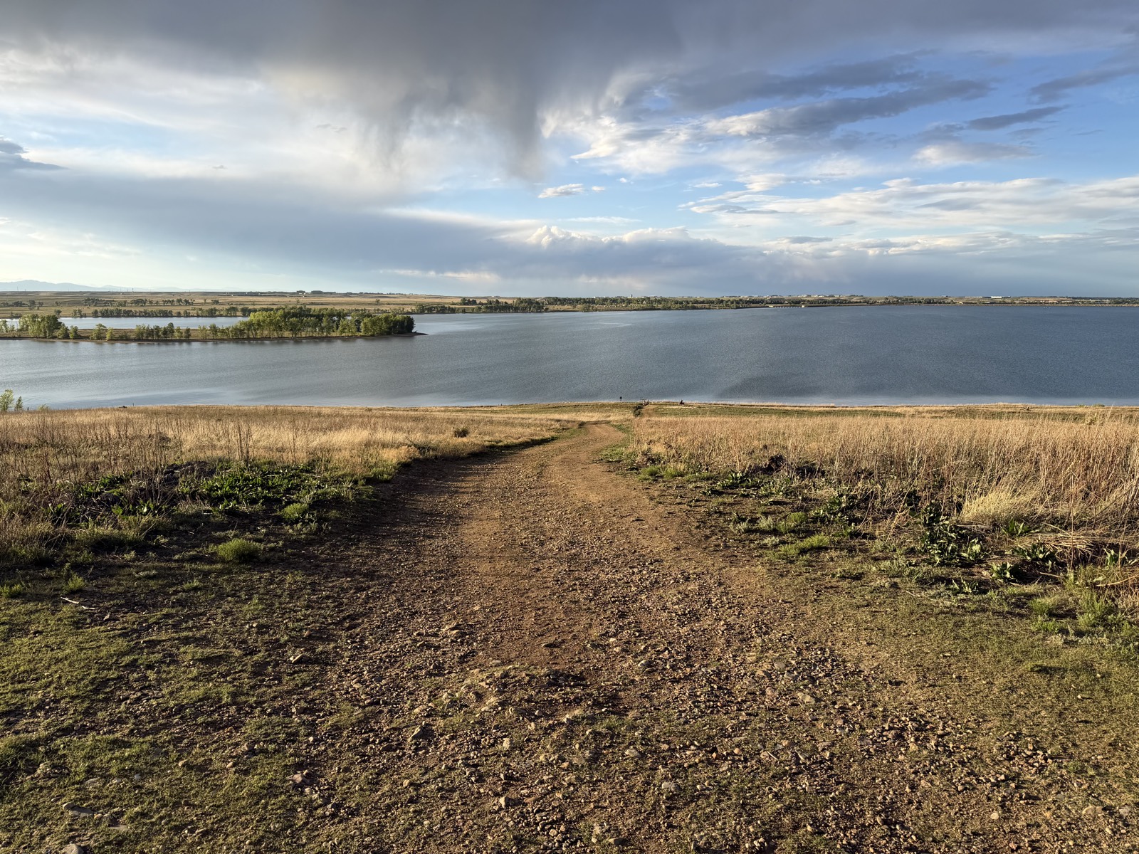 South Standley Lake Trails trail photo 1