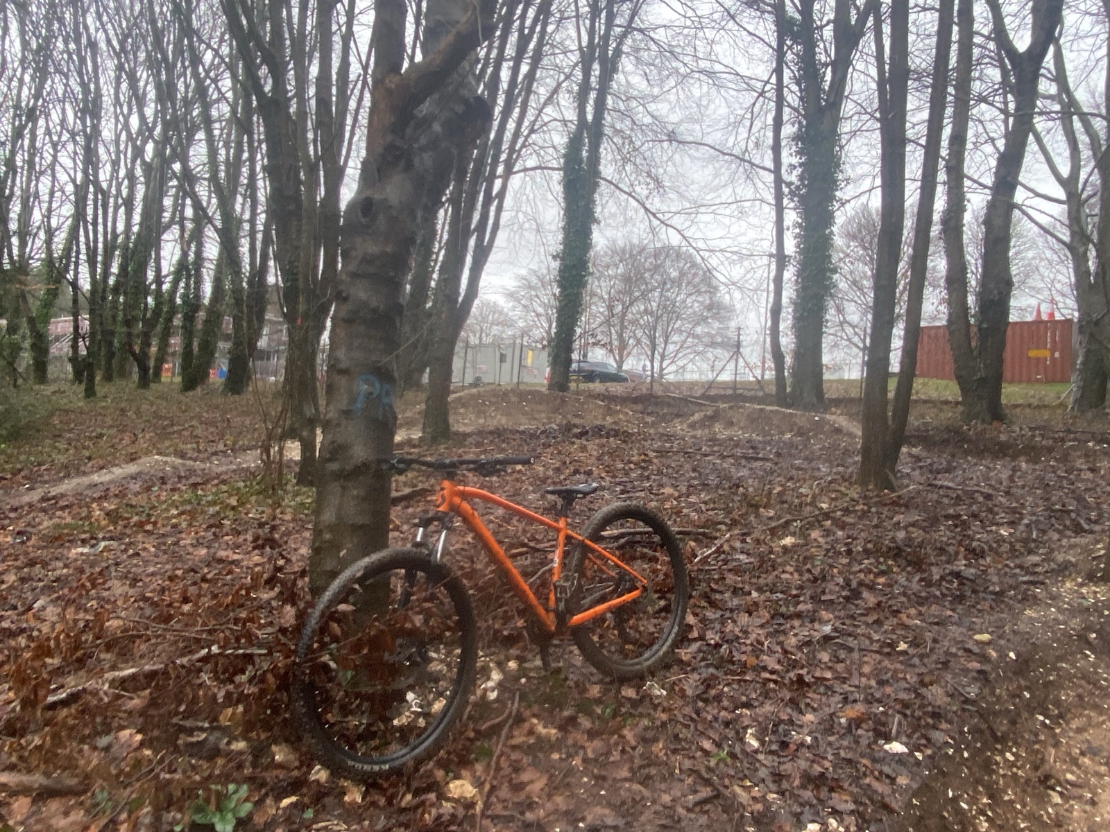 W Woods trail photo 5