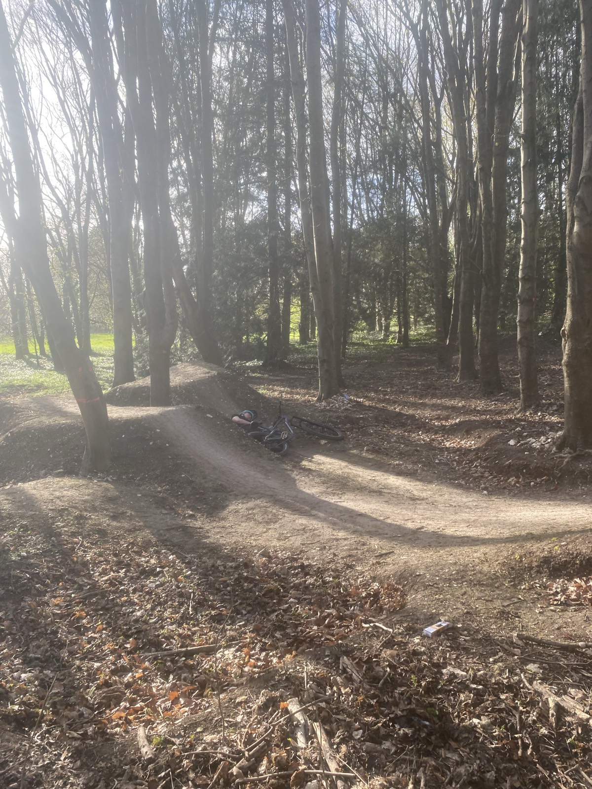 W Woods trail photo 4