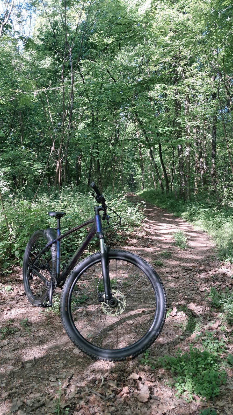 Vinica Enduro Trail trail photo 2