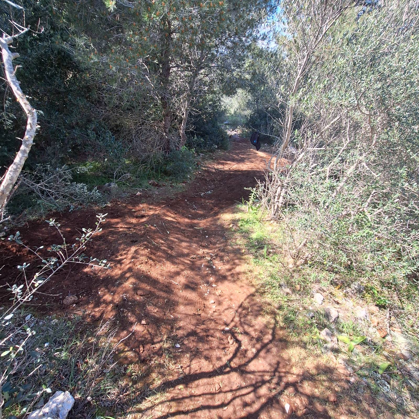 Onion Trail trail photo 2