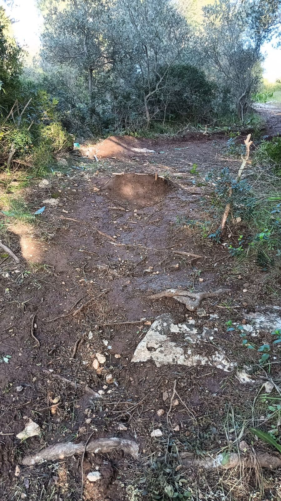 Onion Trail trail photo 1