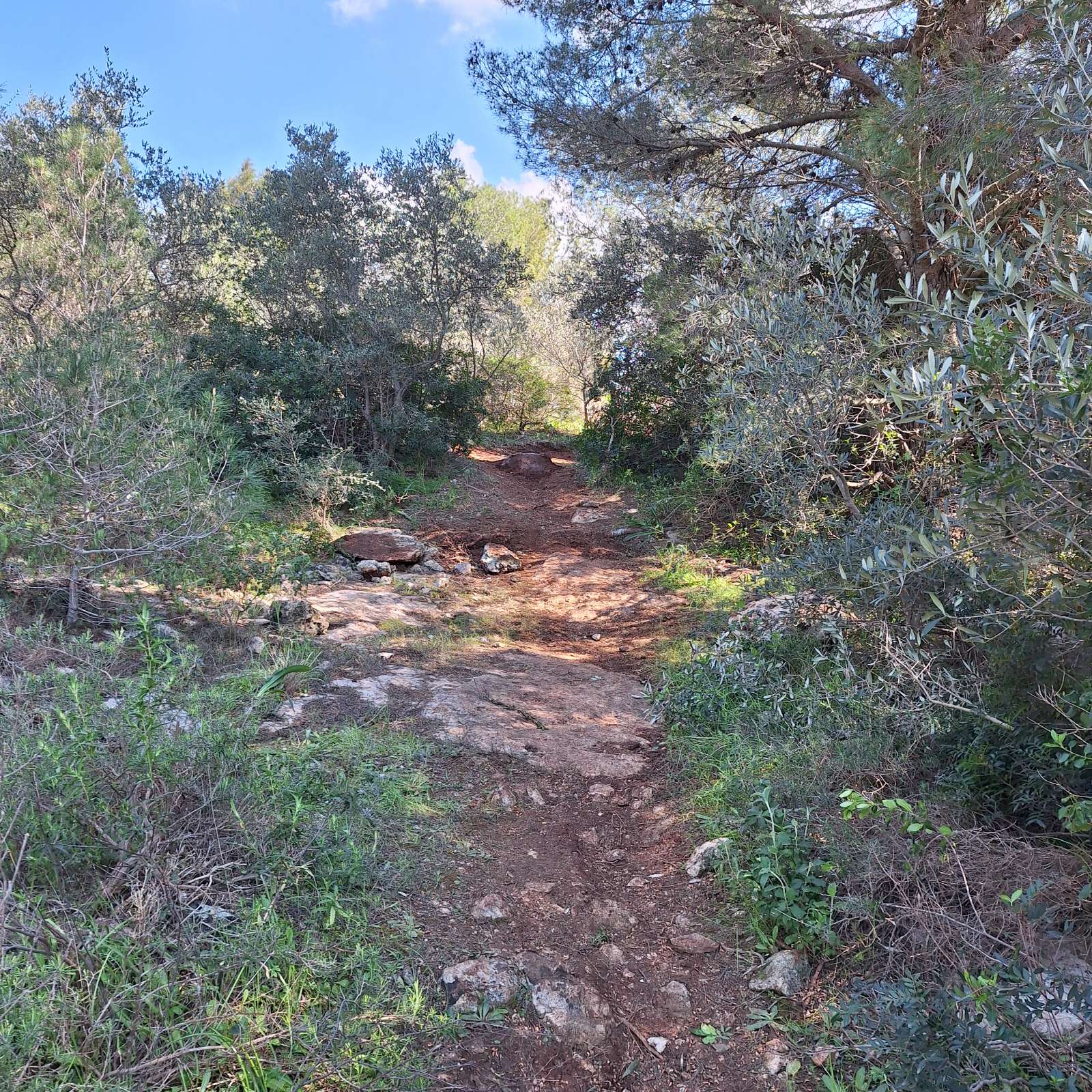 Onion Trail trail photo 3