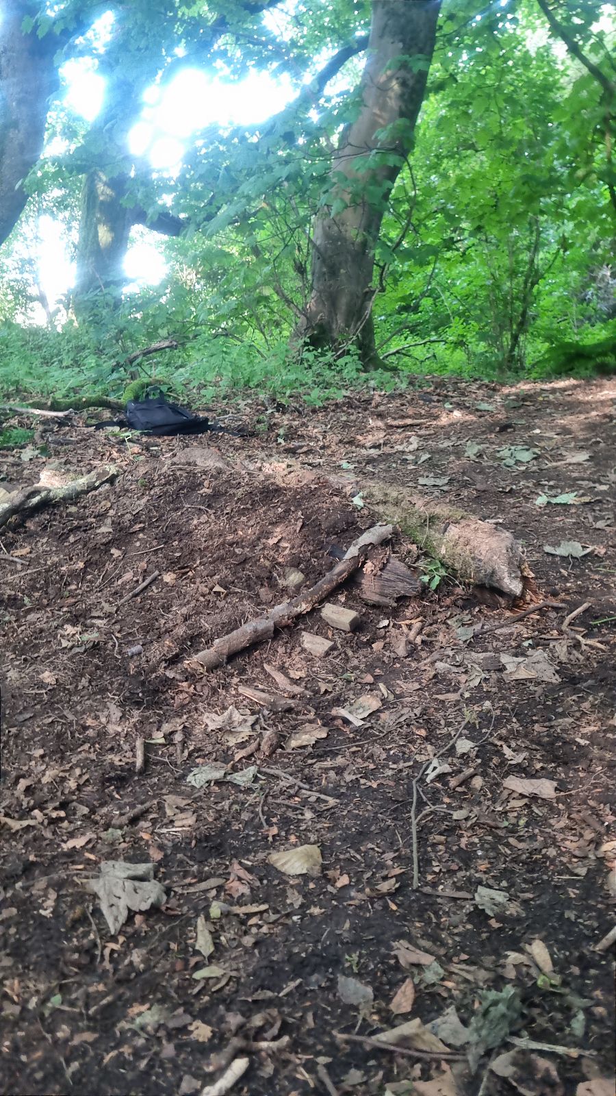 Mearnskirk Forest Trails trail photo 3