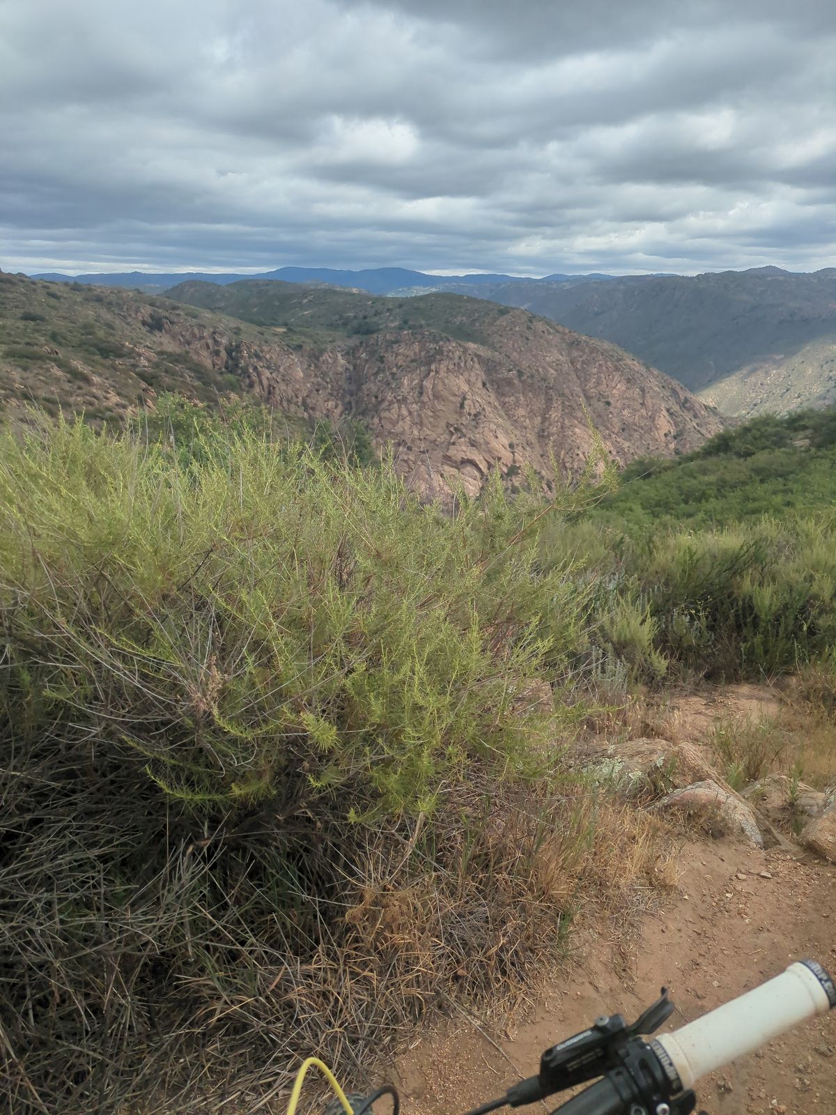 Wead wacker trail photo 2