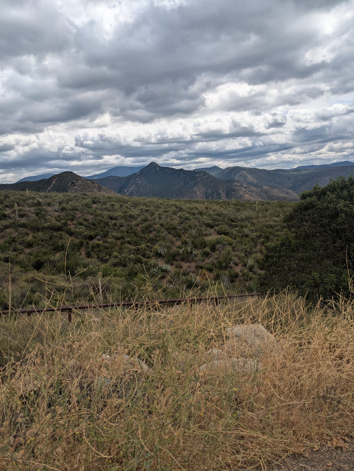 Wead wacker trail photo 3