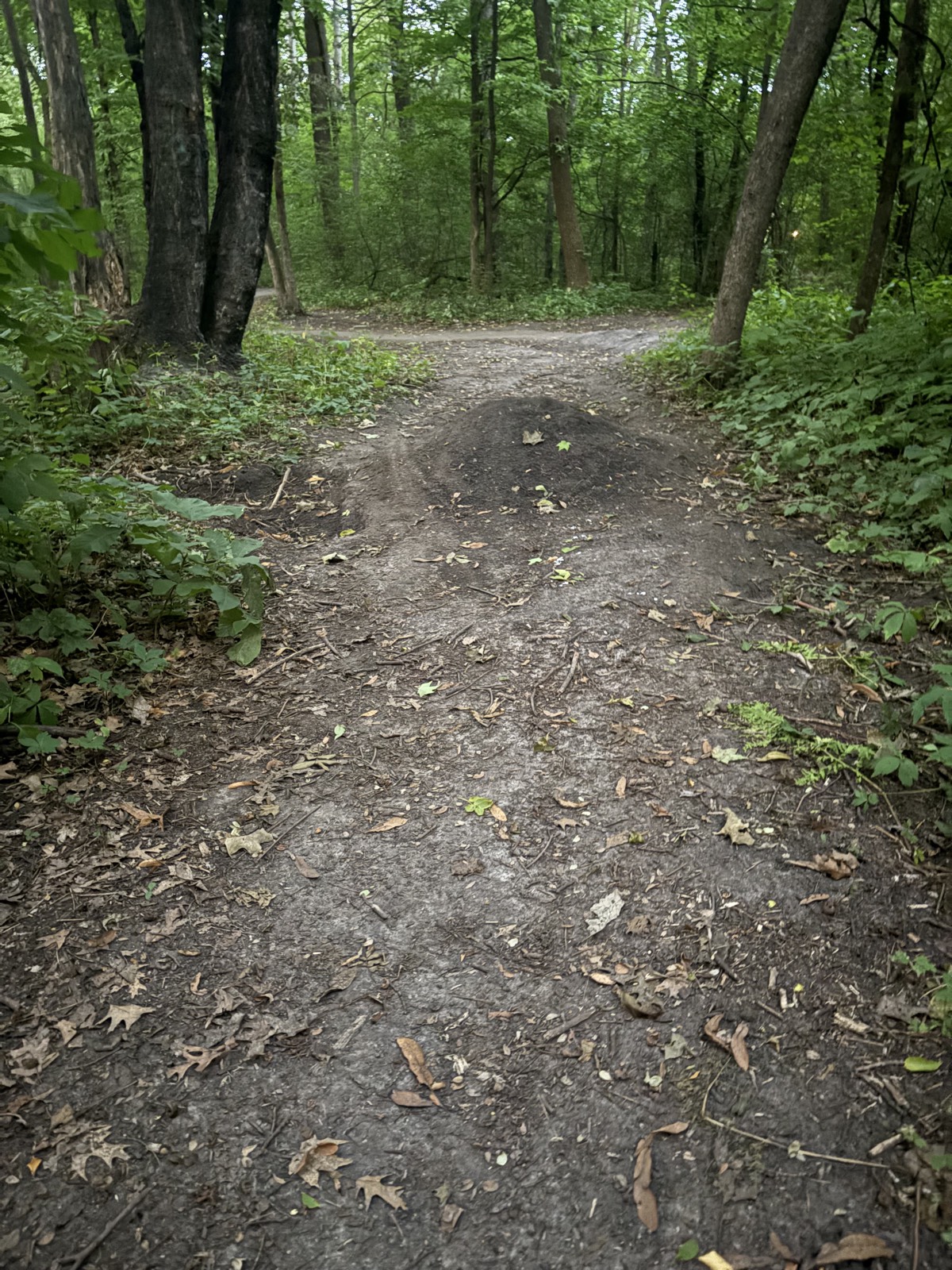 Duck and cover trail photo 1