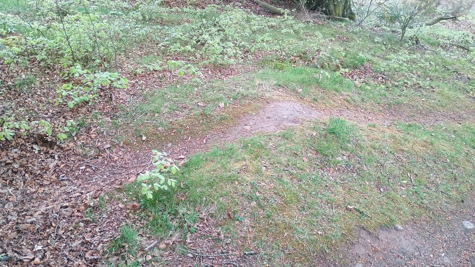 Wolfhill Bike Trail trail photo 1