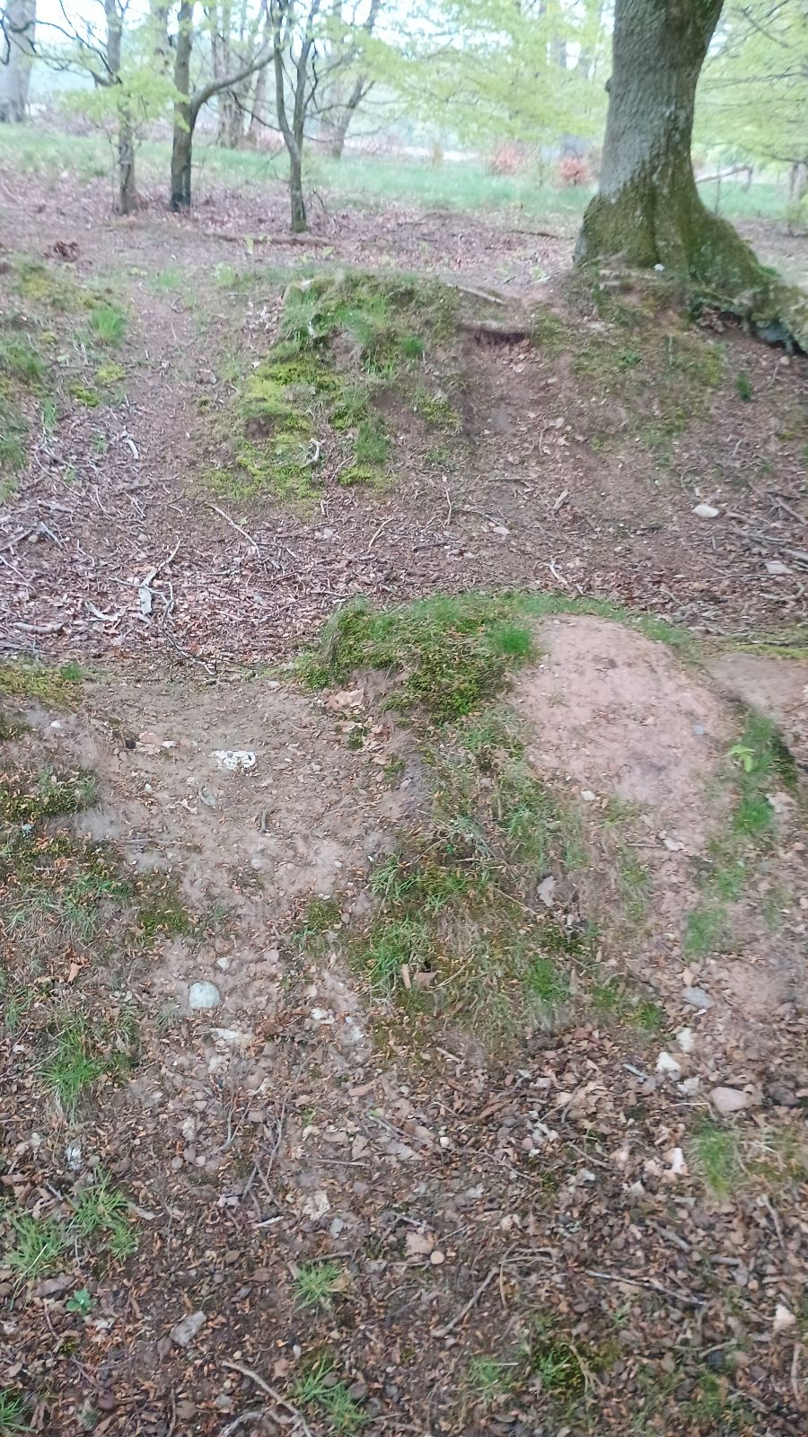 Wolfhill Bike Trail trail photo 3