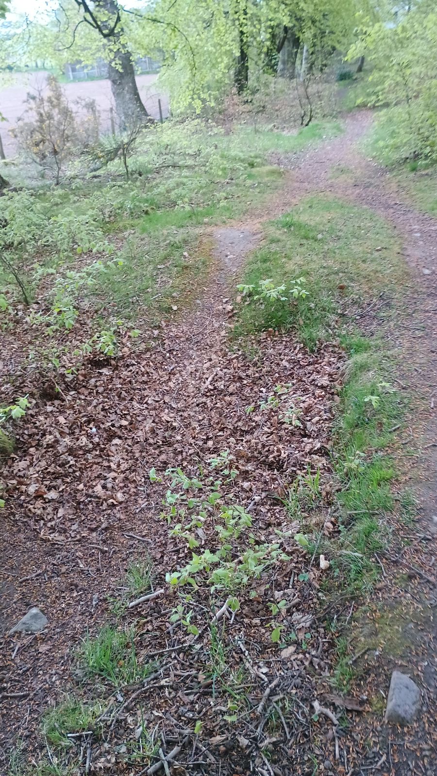 Wolfhill Bike Trail trail photo 2