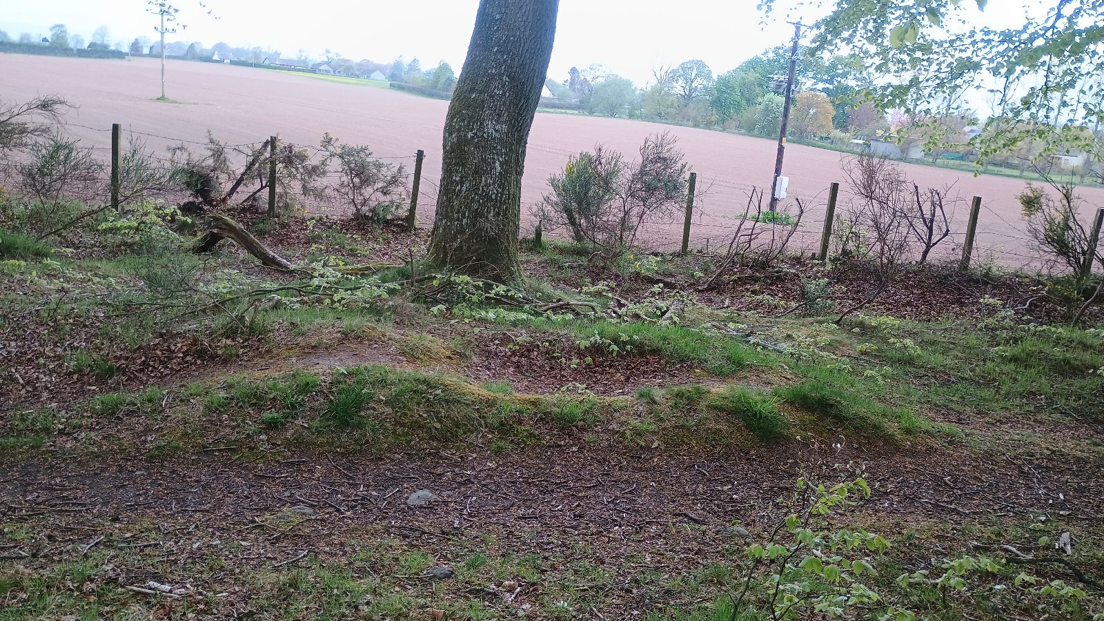 Wolfhill Bike Trail trail photo 4