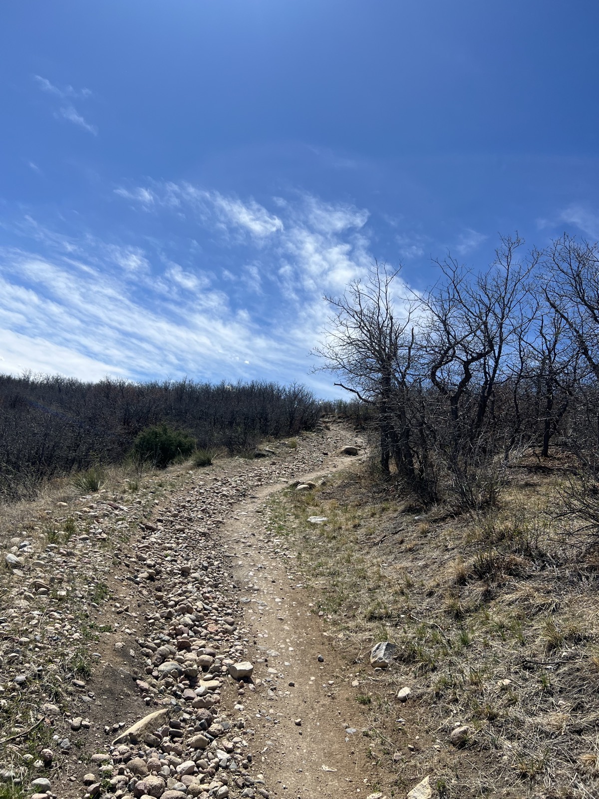 Hidden Mesa Trail trail photo 2