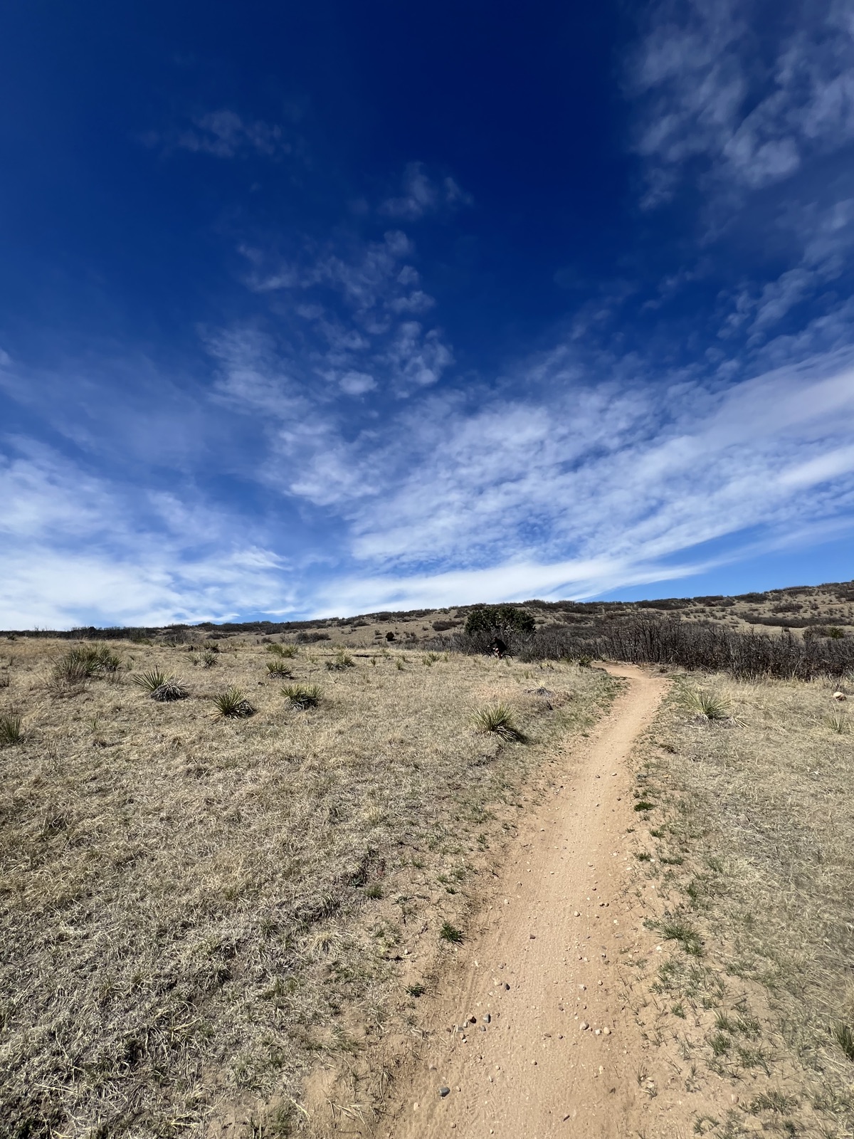 Hidden Mesa Trail trail photo 1