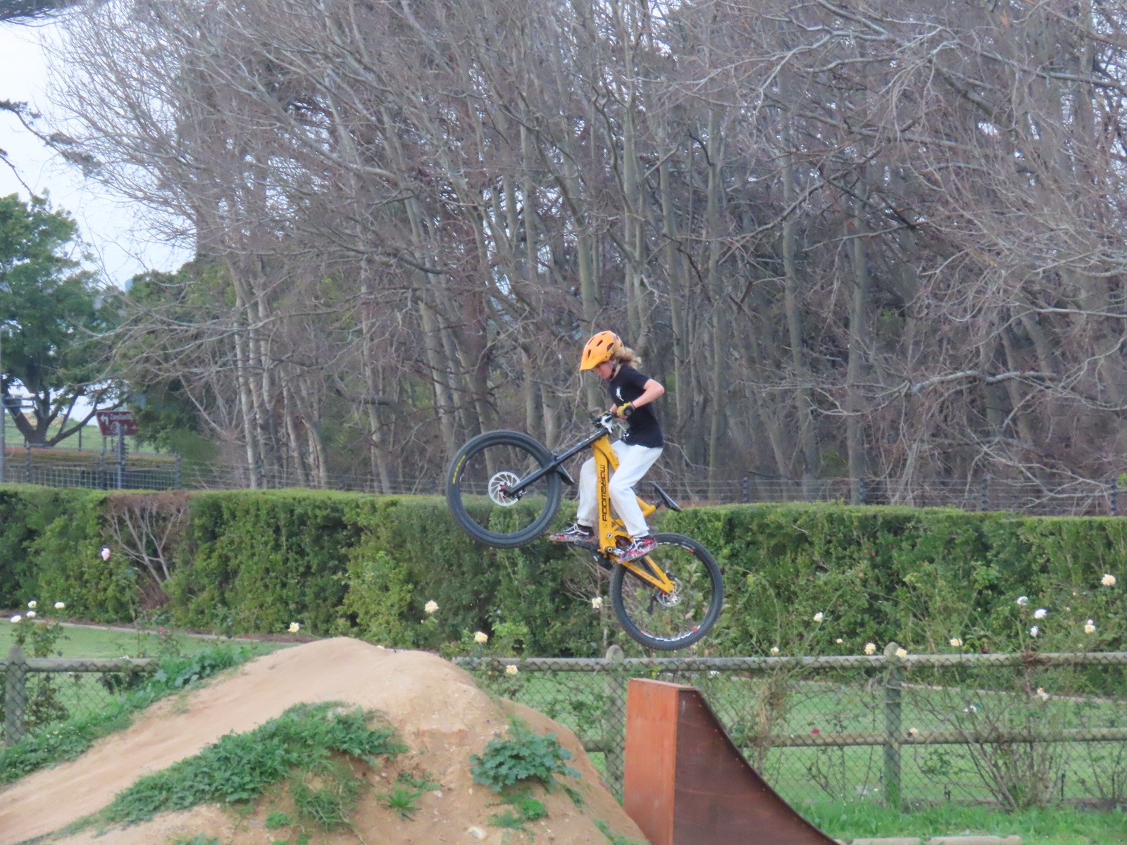 The bike park trail photo 3