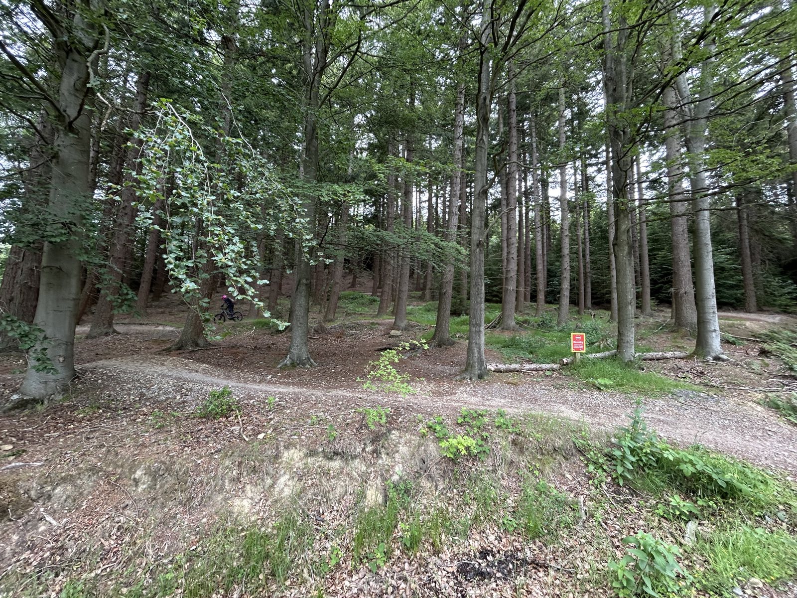 Flow (Black Route) trail photo 3