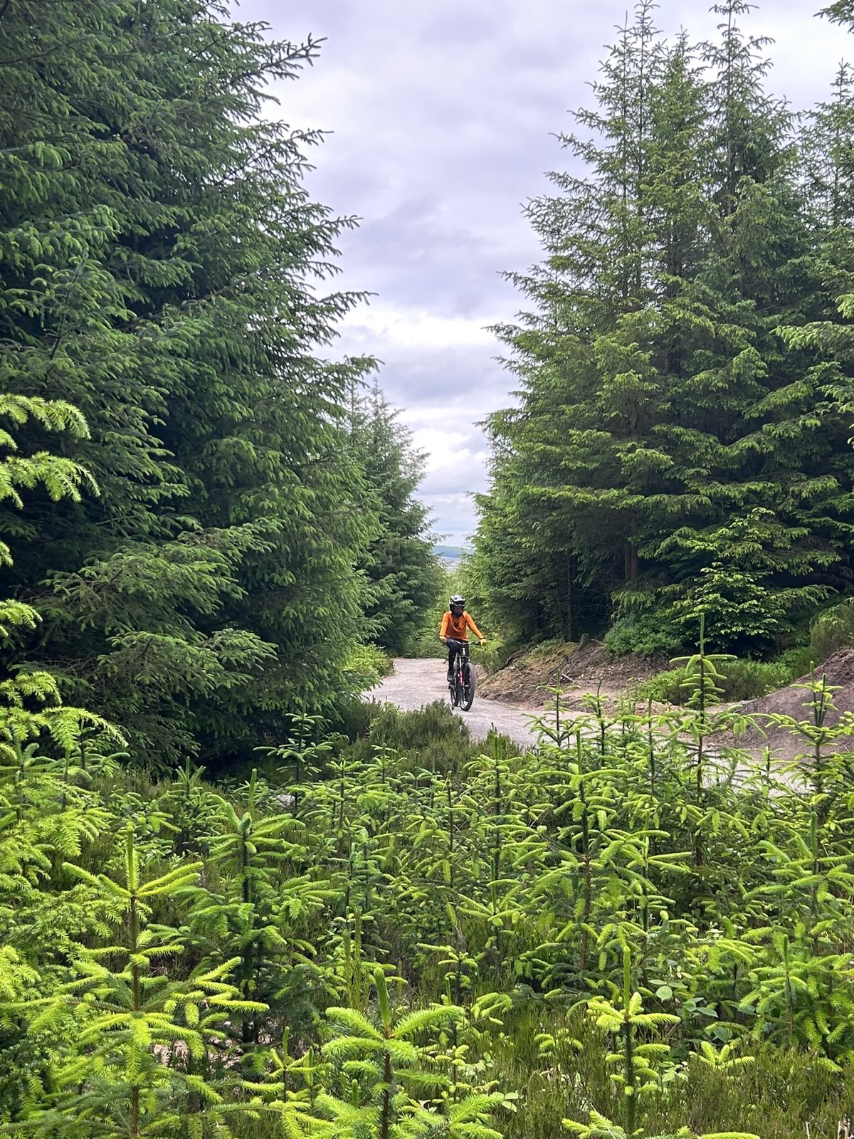 Flow (Black Route) trail photo 2