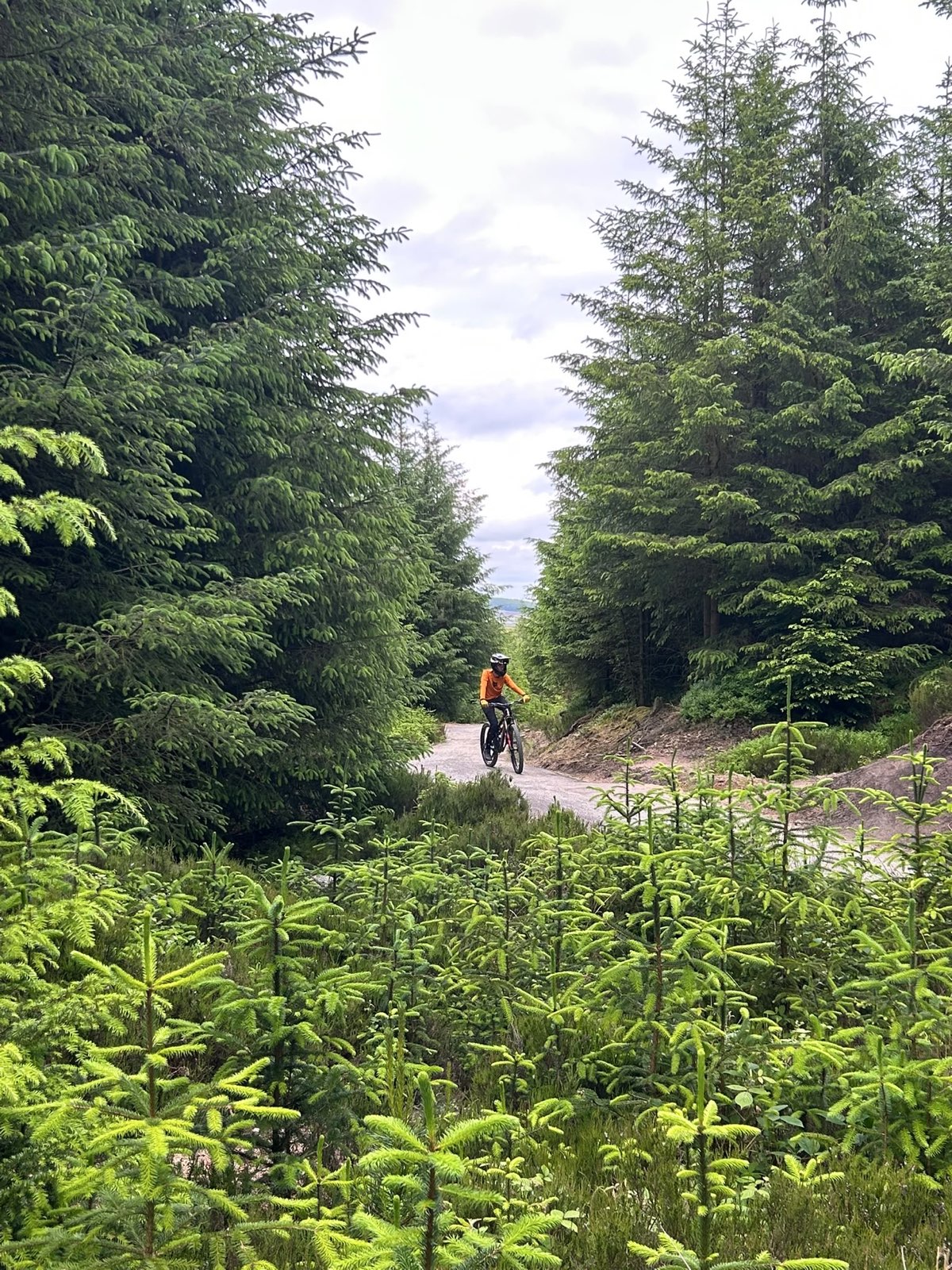 Flow (Black Route) trail photo 4